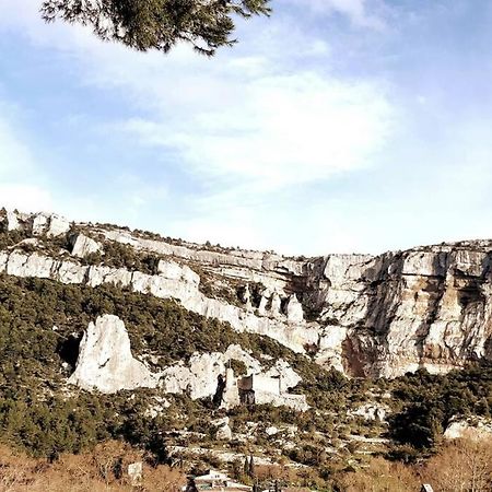 Vue Panoramique Sur Le Chateau,Montagne Et Grottes Fontaine-de-Vaucluse Bagian luar foto
