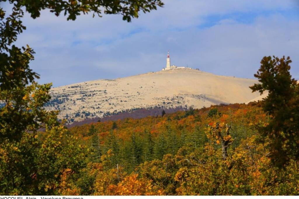 Vue Panoramique Sur Le Chateau,Montagne Et Grottes Fontaine-de-Vaucluse Bagian luar foto