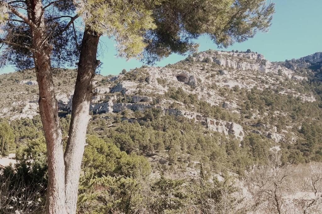 Vue Panoramique Sur Le Chateau,Montagne Et Grottes Fontaine-de-Vaucluse Bagian luar foto