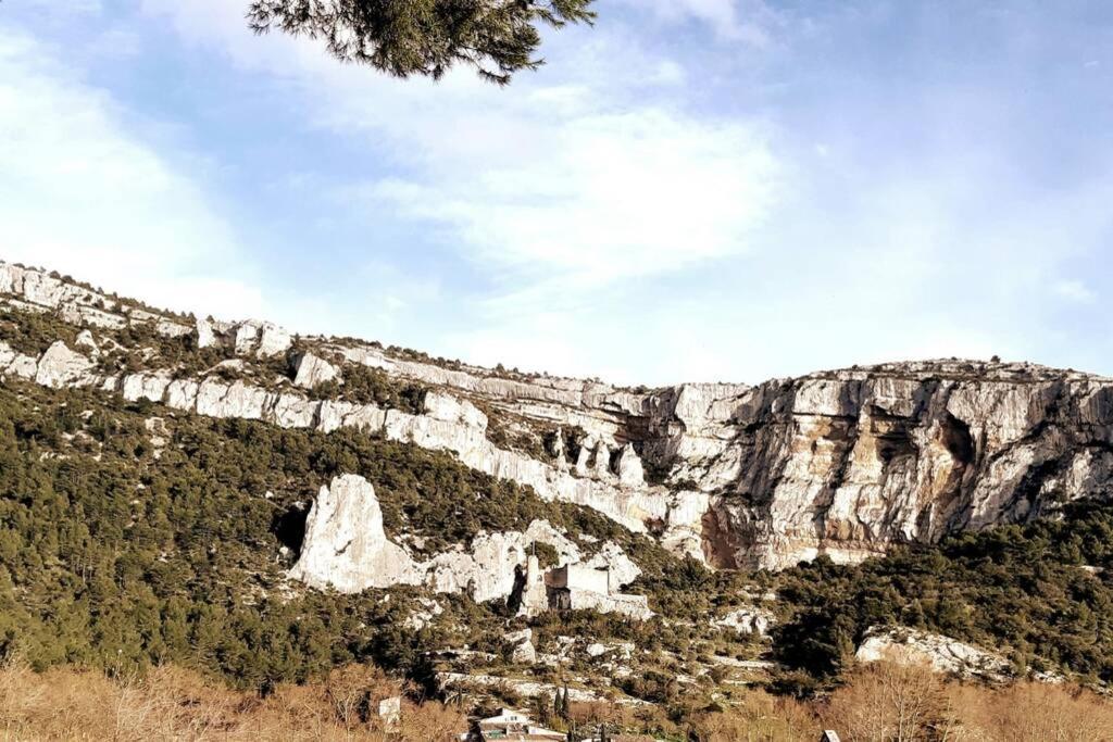 Vue Panoramique Sur Le Chateau,Montagne Et Grottes Fontaine-de-Vaucluse Bagian luar foto
