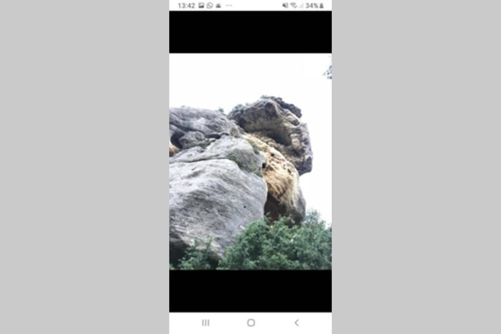 Vue Panoramique Sur Le Chateau,Montagne Et Grottes Fontaine-de-Vaucluse Bagian luar foto