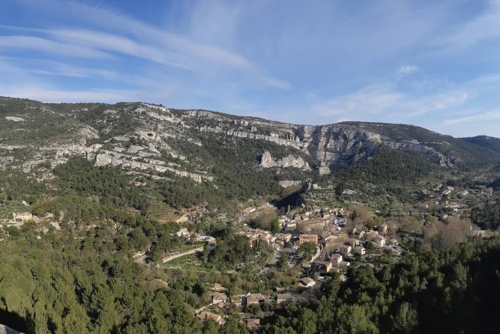 Vue Panoramique Sur Le Chateau,Montagne Et Grottes Fontaine-de-Vaucluse Bagian luar foto