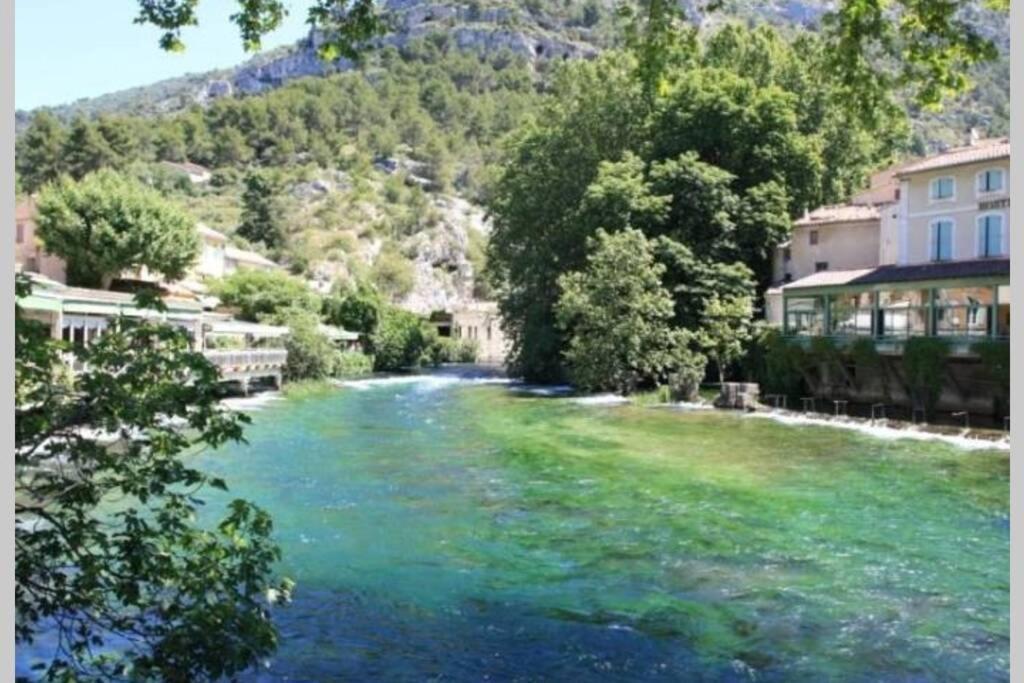 Vue Panoramique Sur Le Chateau,Montagne Et Grottes Fontaine-de-Vaucluse Bagian luar foto