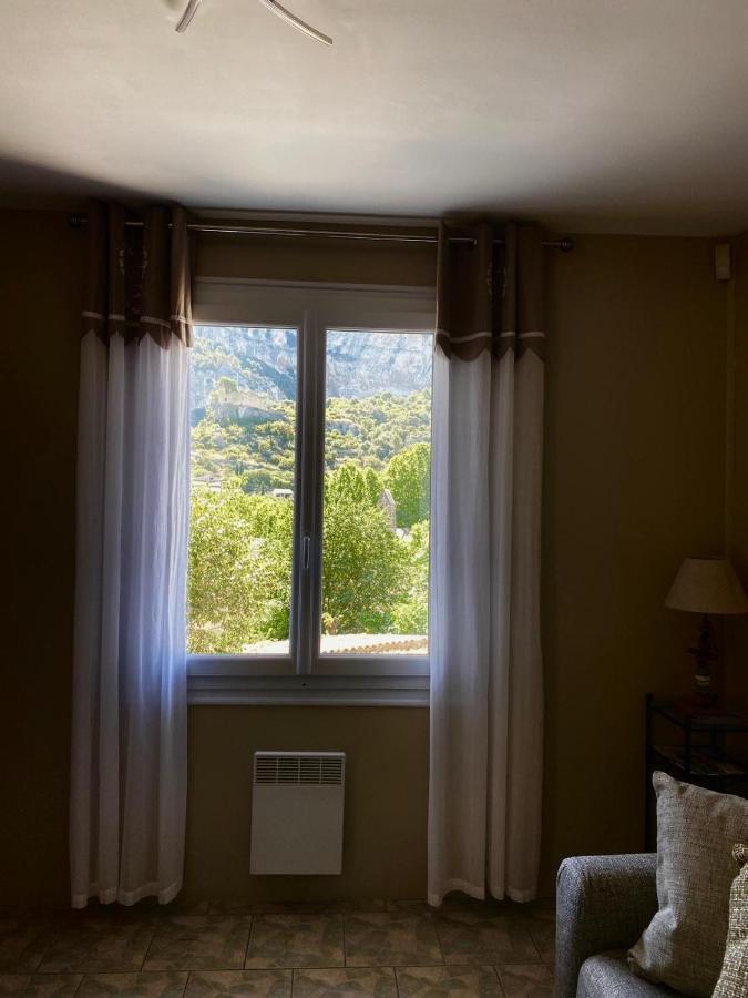 Vue Panoramique Sur Le Chateau,Montagne Et Grottes Fontaine-de-Vaucluse Bagian luar foto